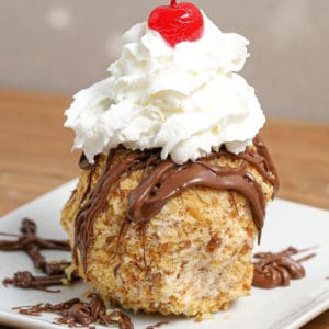 Gluten and Dairy Free Not Fried-Fried Ice Cream