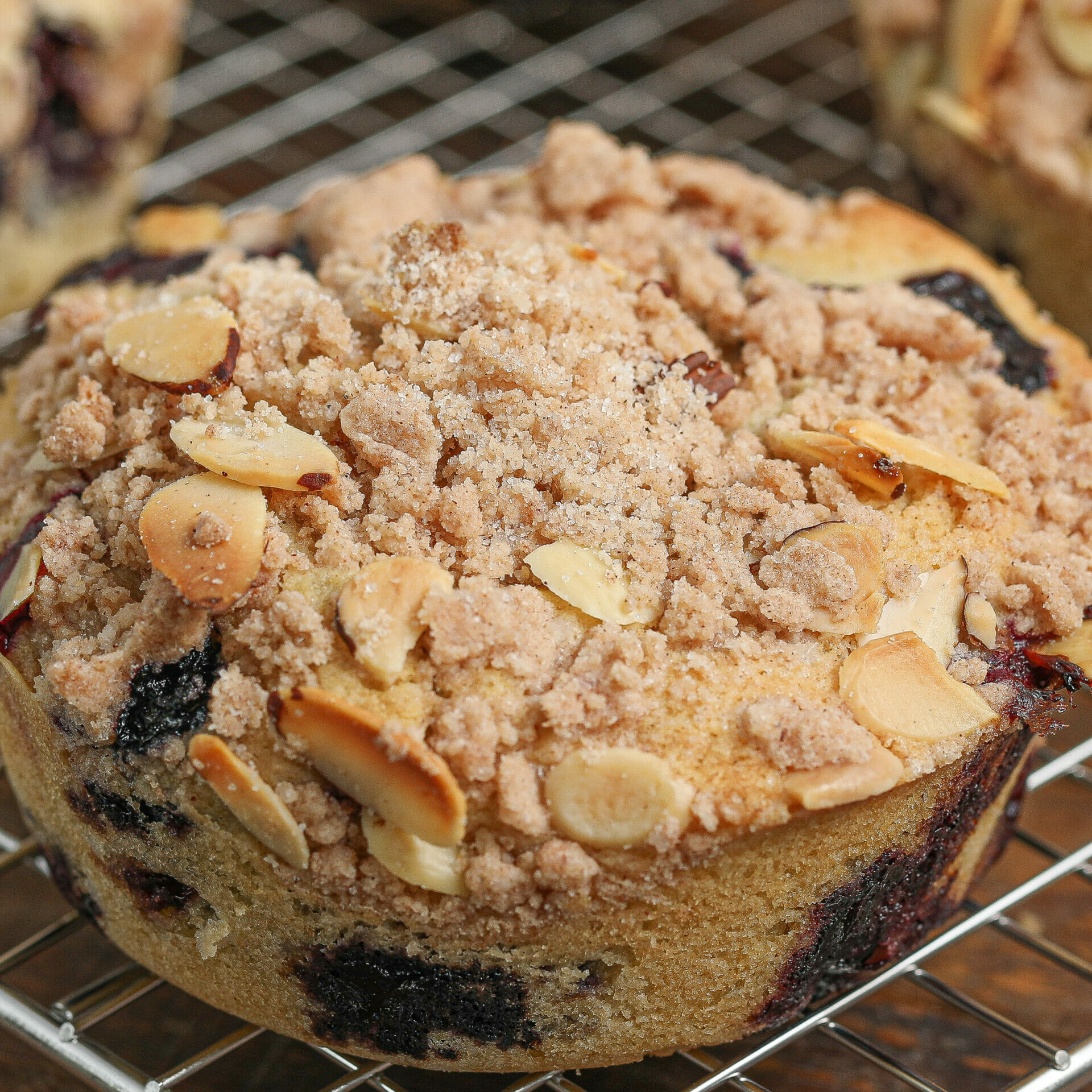 Gluten and Dairy Free Streusel Blueberry Muffins