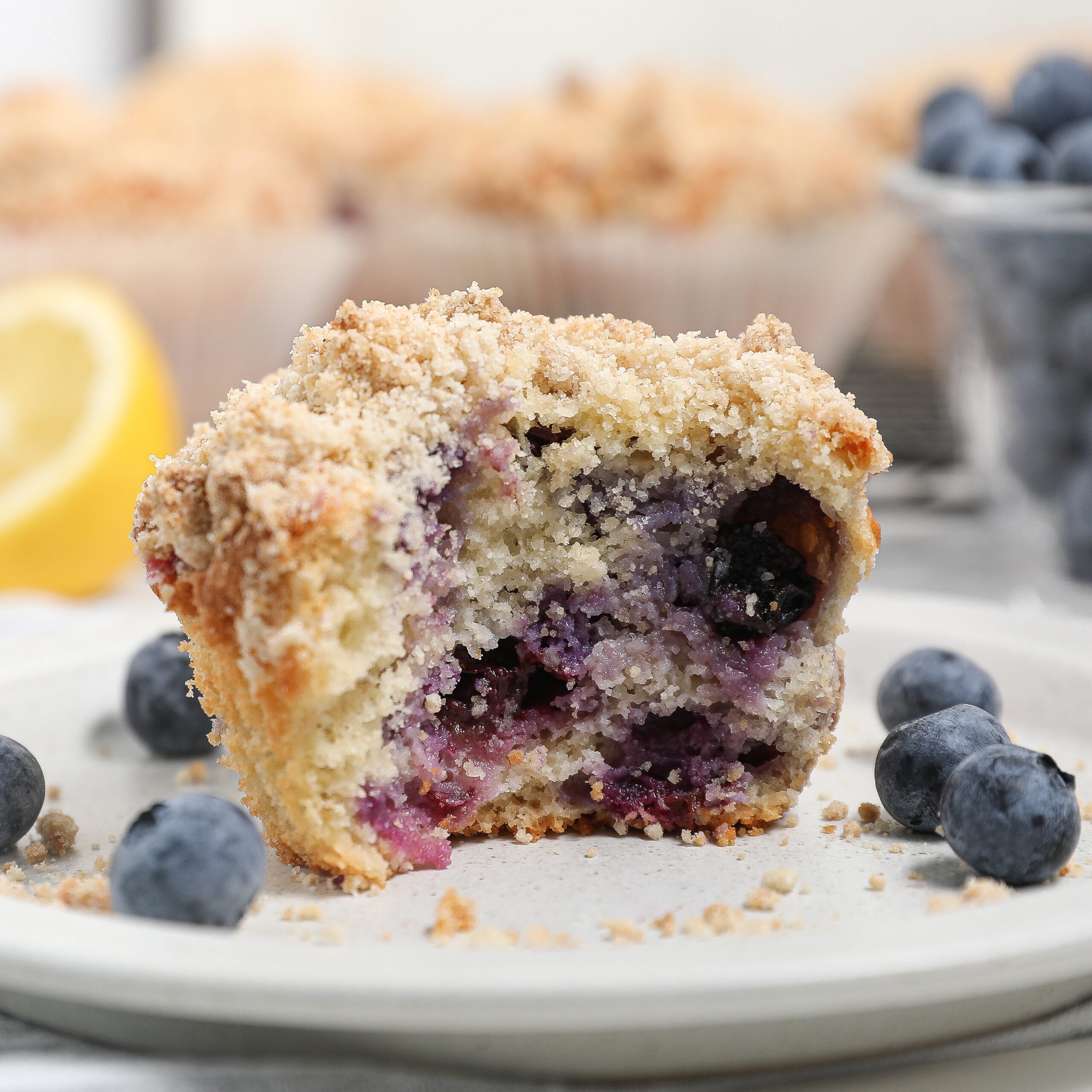 Gluten Free Streusel Blueberry Muffins