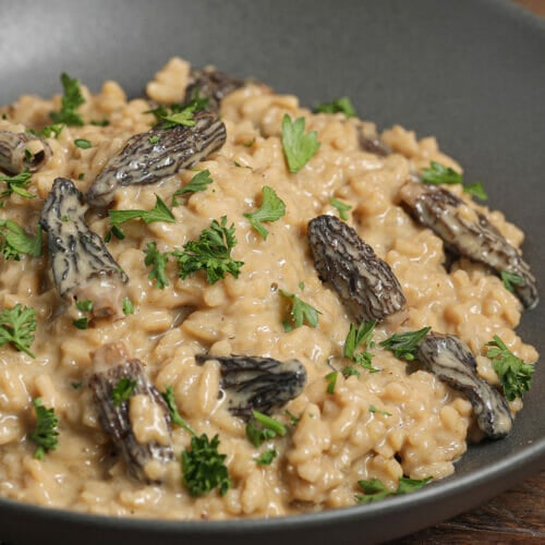 Dairy Free Decadent Morel Mushroom Risotto The Salty Cooker