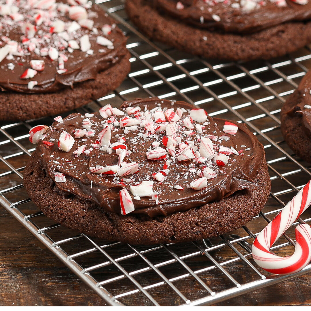 Gluten Free Peppermint Chocolate Coconut Cookies