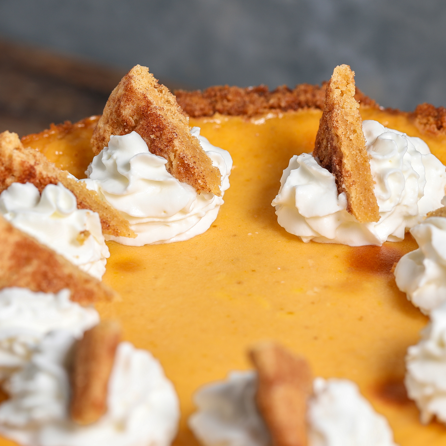 Pumpkin Cheesecake with Snickerdoodle Crust - The Salty Cooker ...