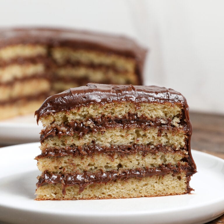 Vanilla Bean Cake with Chocolate Frosting