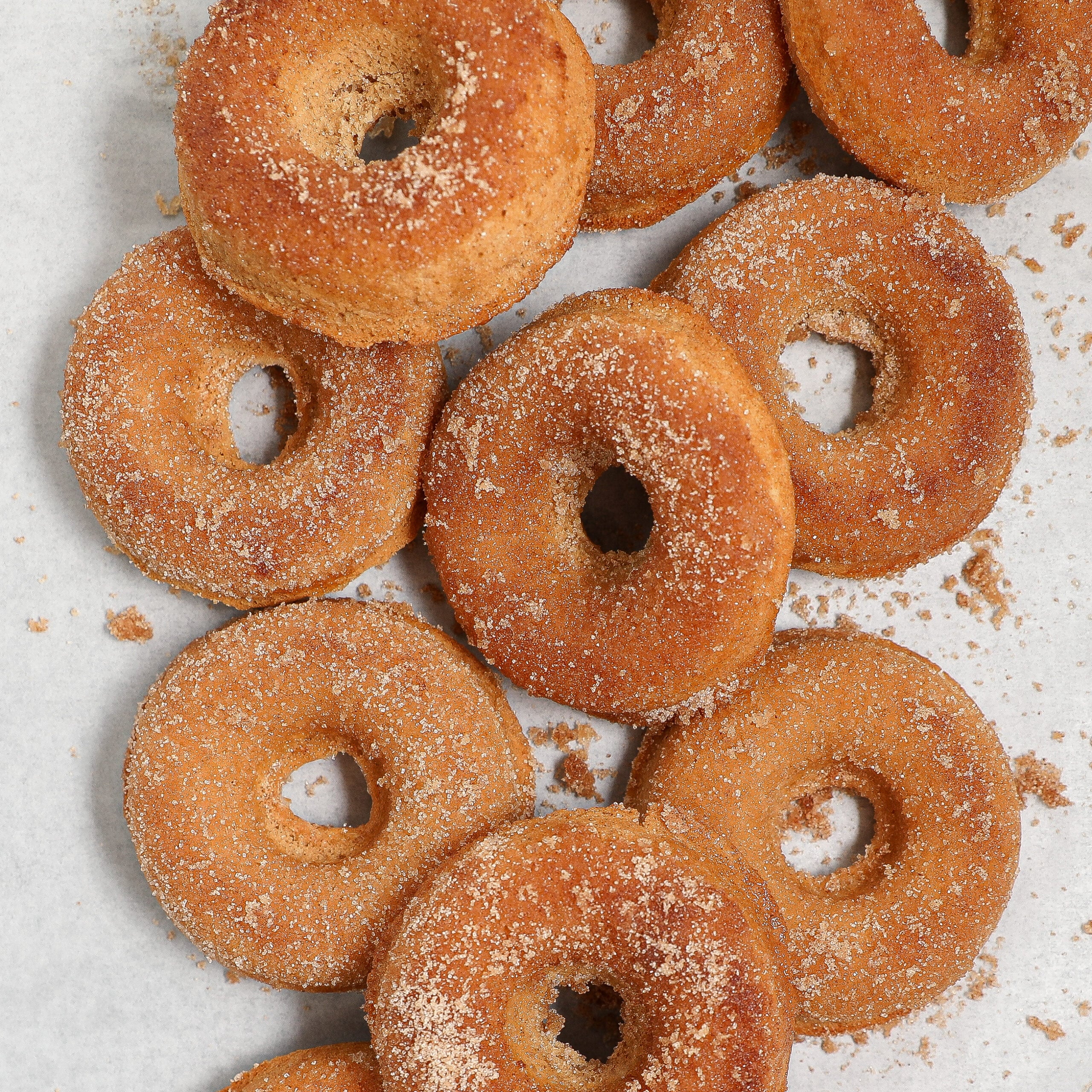 A group of Apple Cider Donuts coated with cinnamon sugar is arranged on a parchment paper surface, with crumbs scattered around.