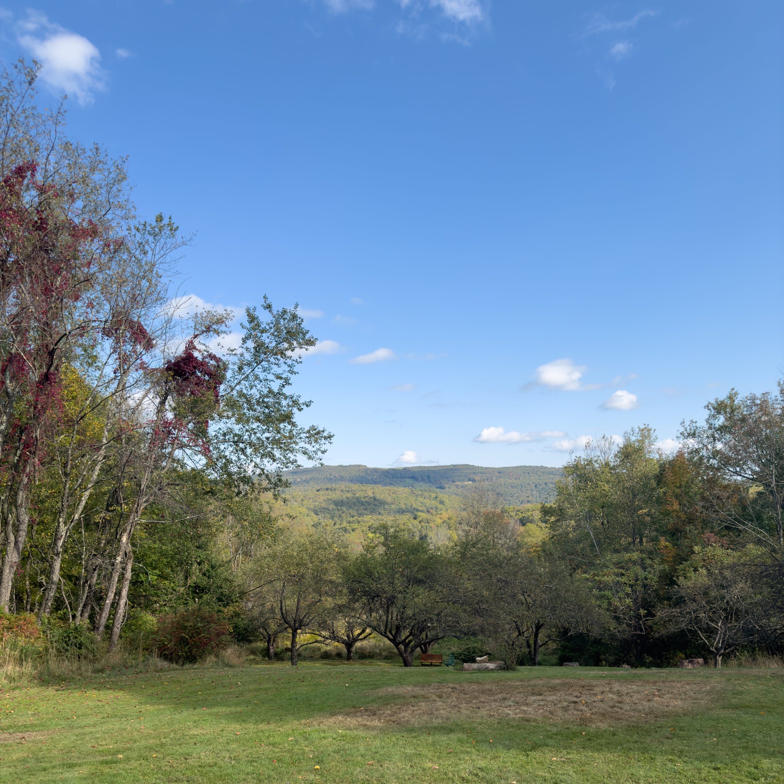 What You Can Expect At Hemlock Neversink