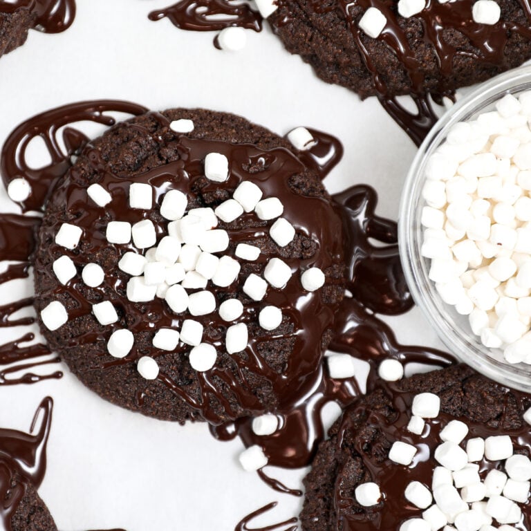 Hot Chocolate Cookies