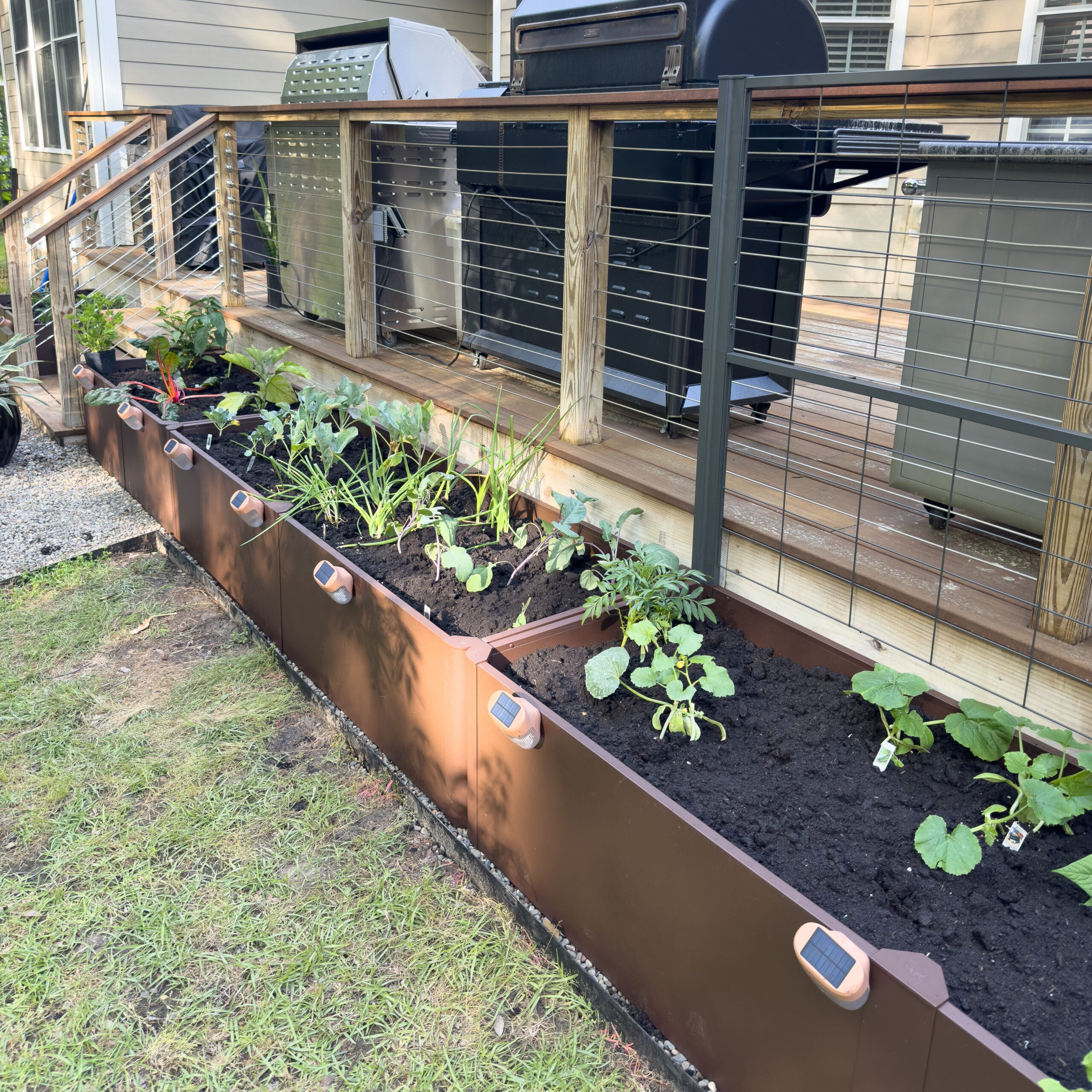 How To Use Raised Beds To Grow Organic Vegetables