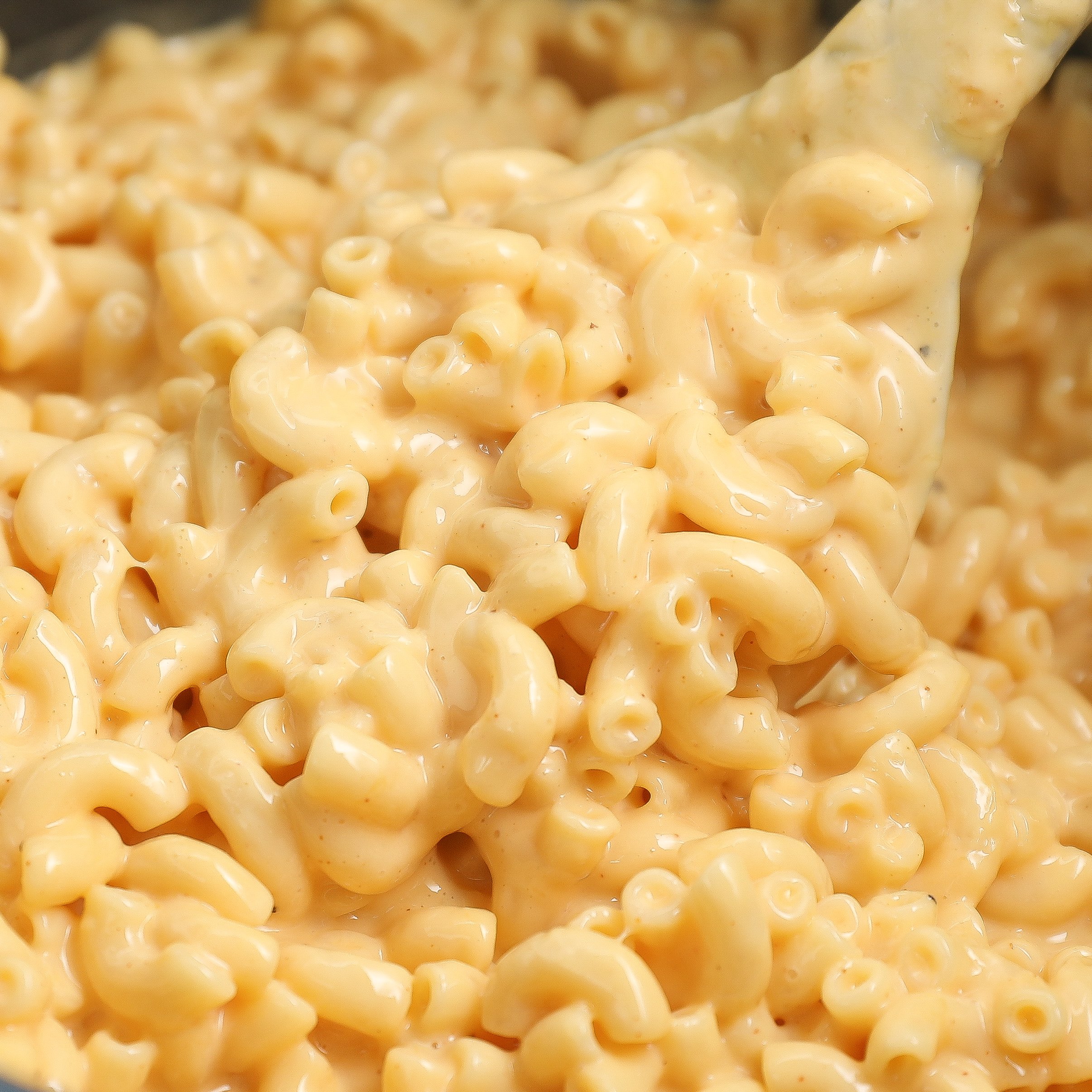 Creamy Mac and Cheese (Ready in 30 Minutes!)