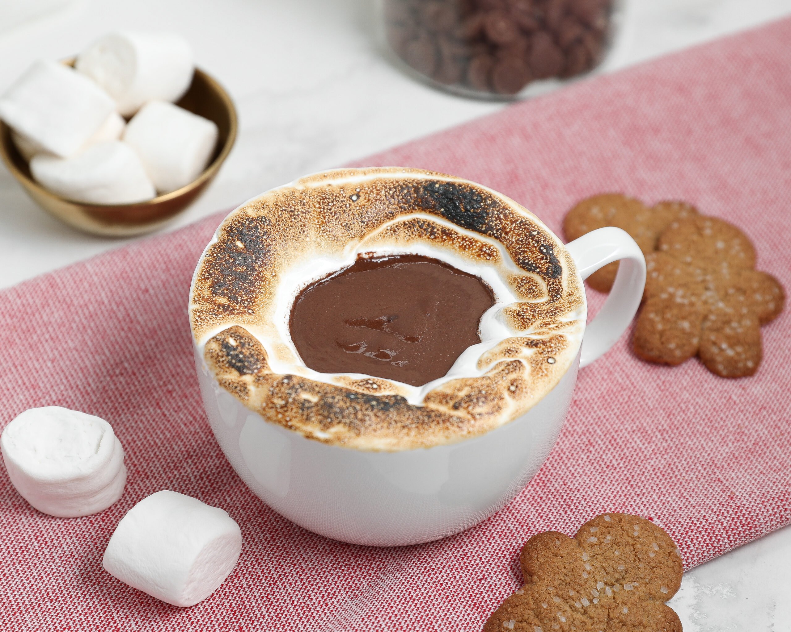 Homemade Hot Chocolate with a Toasted Marshmallow Rim (