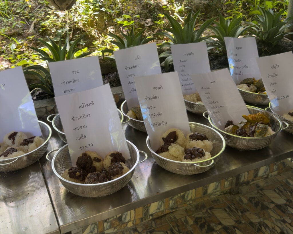 Individual vitamin and supplement meals prepared for rescued elephants receiving lifelong care at a Thailand sanctuary.