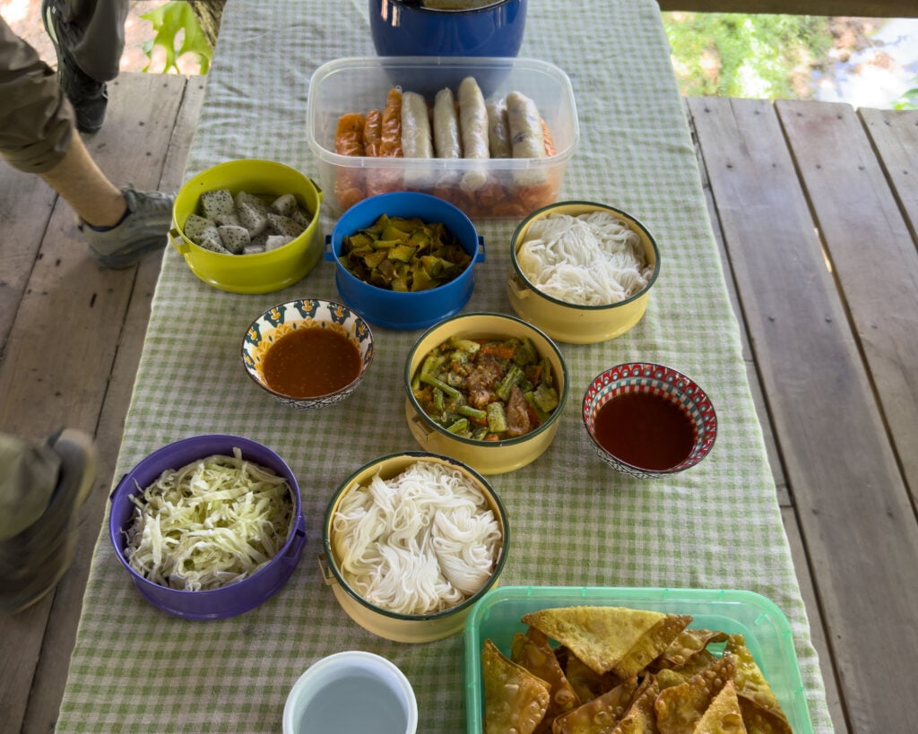Homemade vegan picnic lunch served in a treehouse overlooking elephants at a Thailand elephant sanctuary.