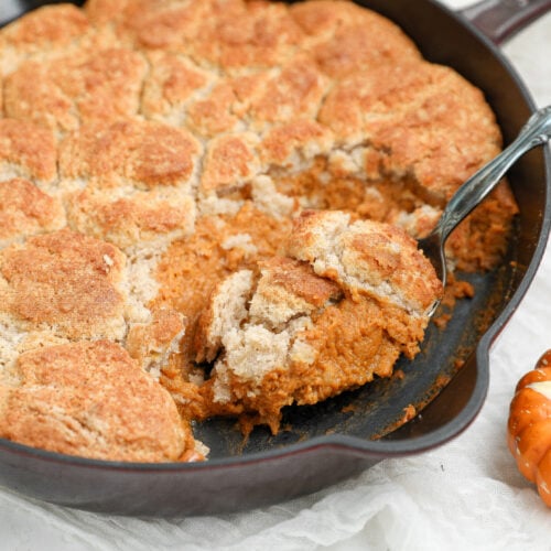 Pumpkin pie cobbler with creamy spiced pumpkin filling and golden biscuit topping served warm from a baking dish.