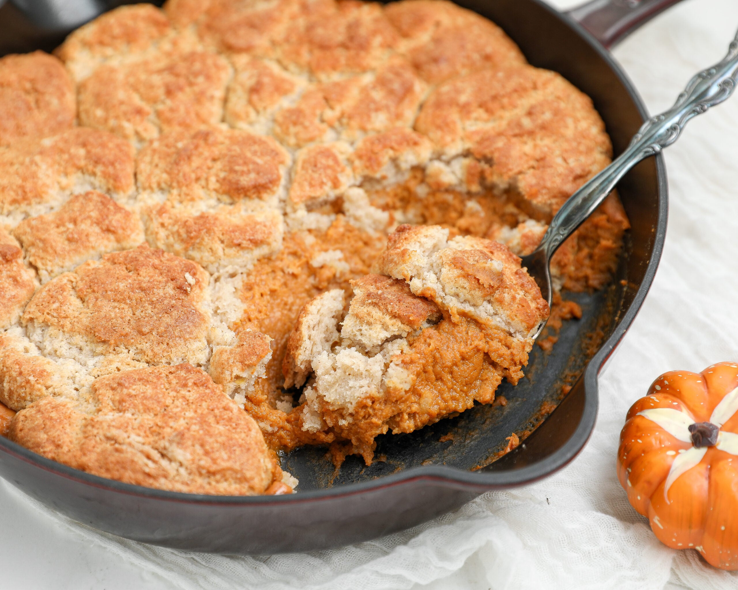 Pumpkin pie cobbler with creamy spiced pumpkin filling and golden biscuit topping served warm from a baking dish.